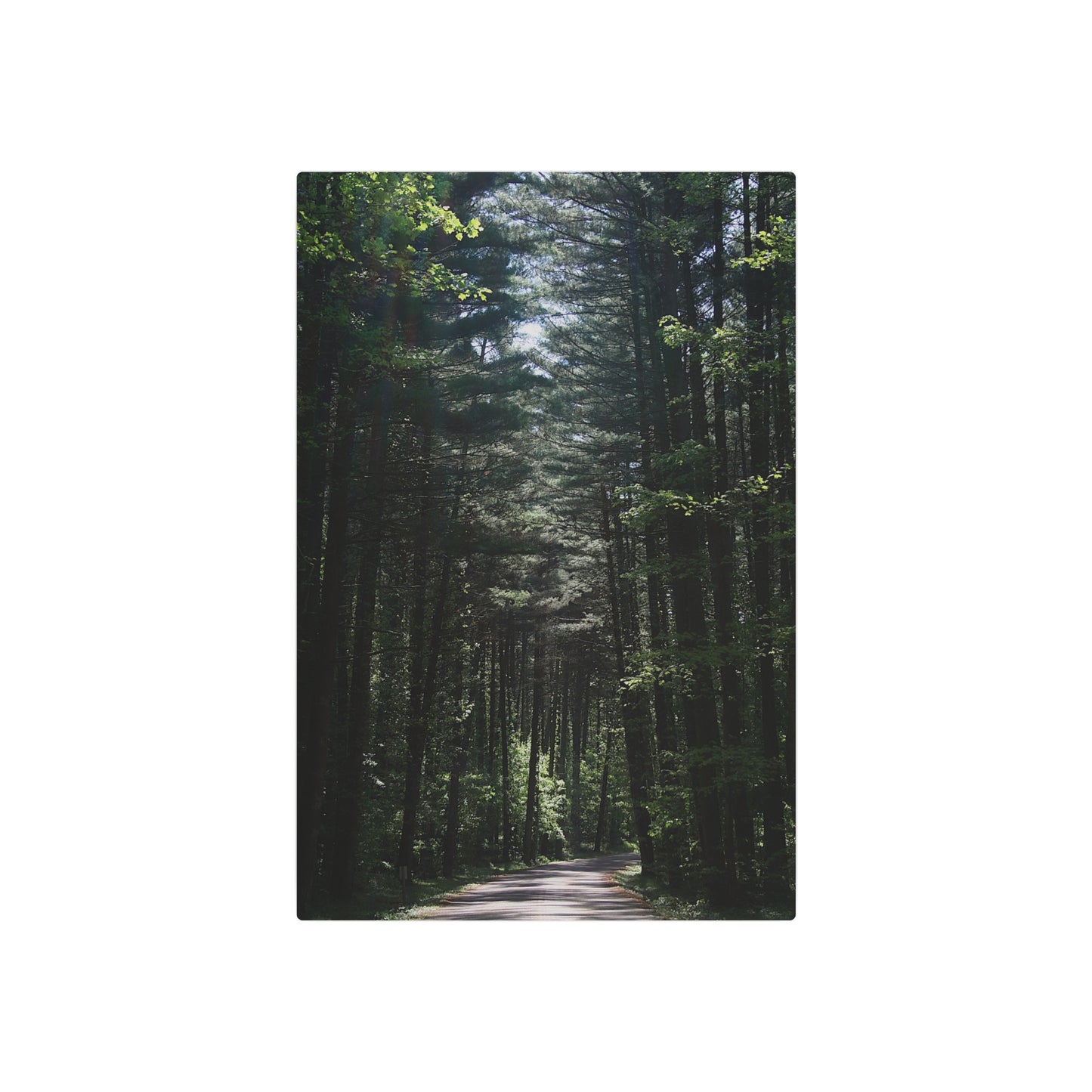 Guiding Light, Forest Path Metal Art Sign, Nature Wall Decor, Outdoor Enthusiast Gift, Rustic Home Decoration, Unique Gift for Nature Lovers