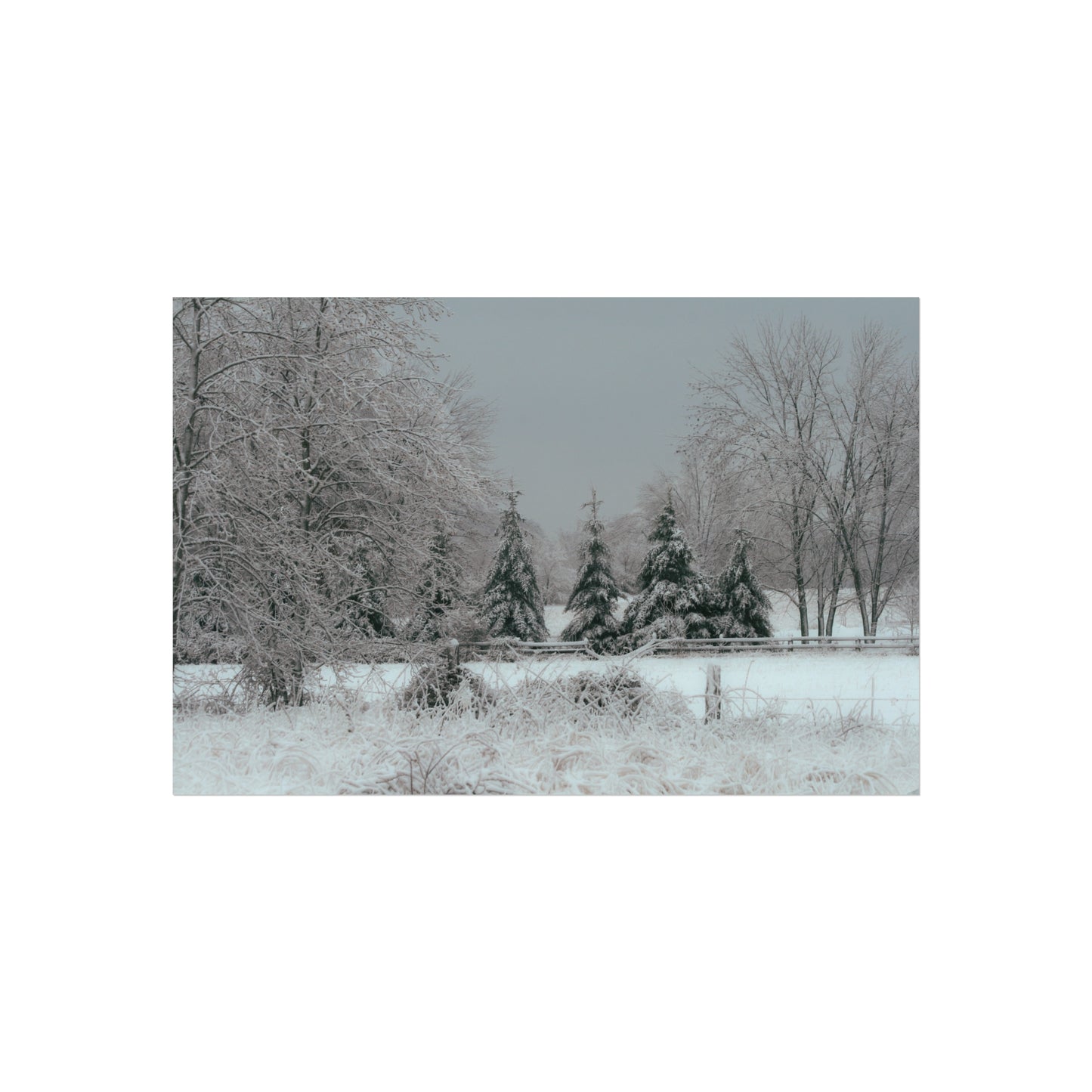 Quiet Across the Field