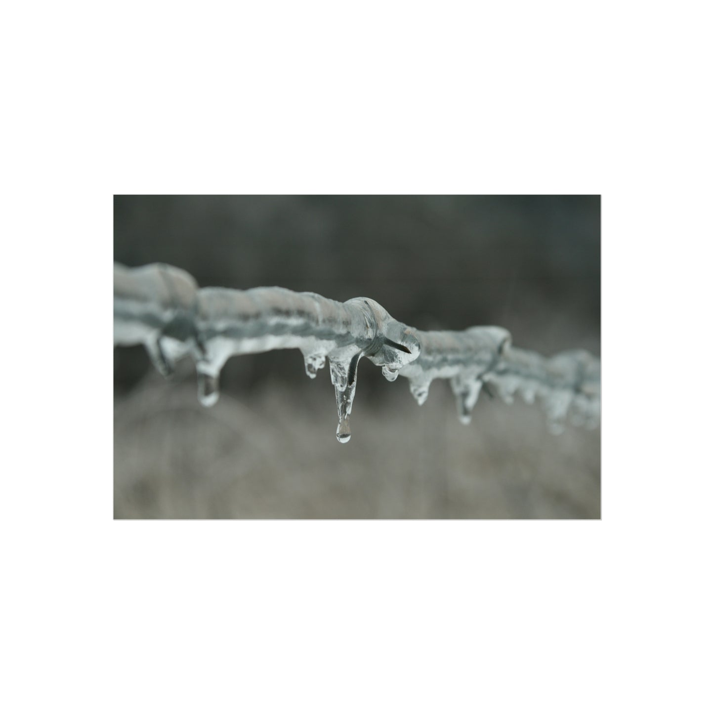 Ice On Barbed Wire Fence